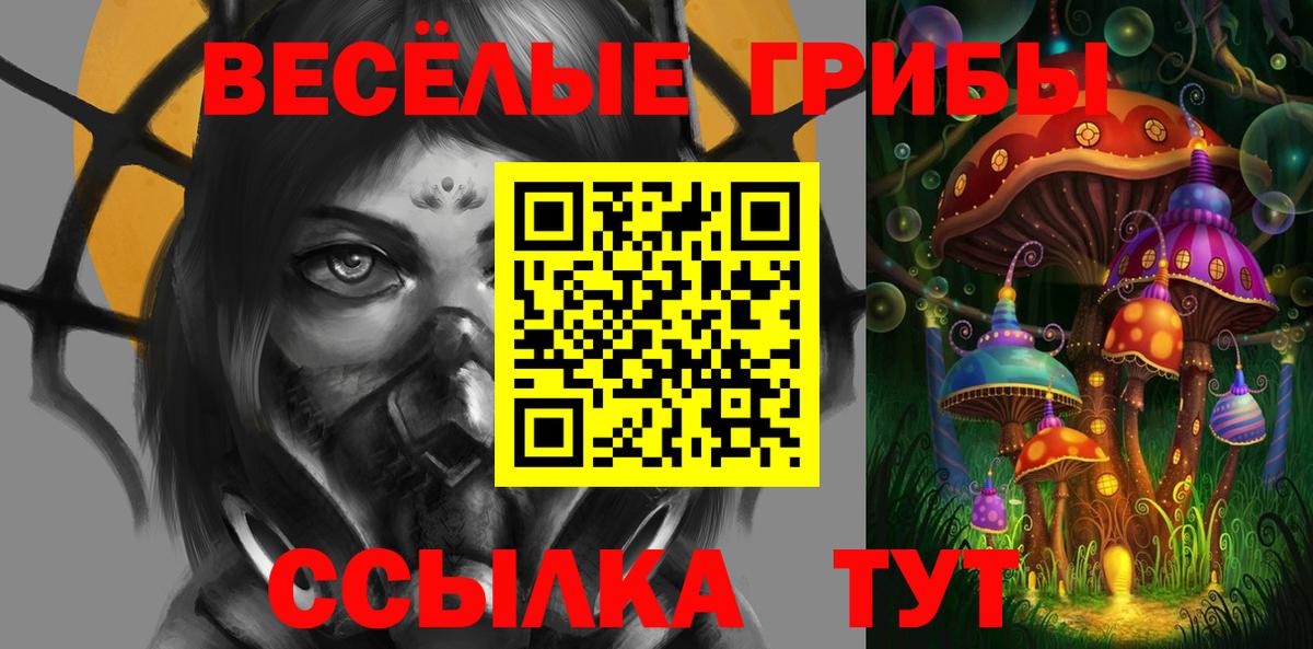 Псилоцибиновые грибы Psilocybe Междуреченск
