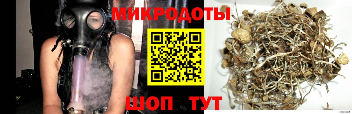 Междуреченск  Галлюциногенные грибы MAGIC MUSHROOMS  Вход с VPN  Галлюциногенные грибы Psilocybe 